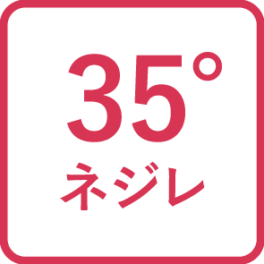 超硬スクエアエンドミル / 2枚刃 / 2.5D刃長 / TiAlNコーティング / ピンカド / φ2.5