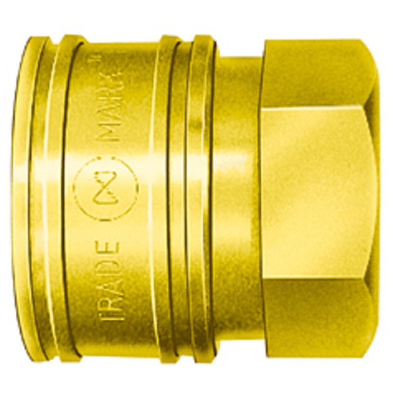 日東　ＴＳＰカプラ　真ちゅう製　ふっ素ゴムＦＫＭ　Ｘ－１００（００６３８）