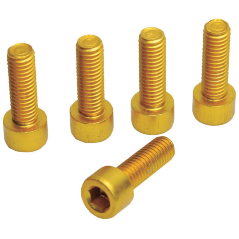 アストロプロダクツ　５ＰＣ　ボトルケージ用ボルト　ゴールド　（５個入）