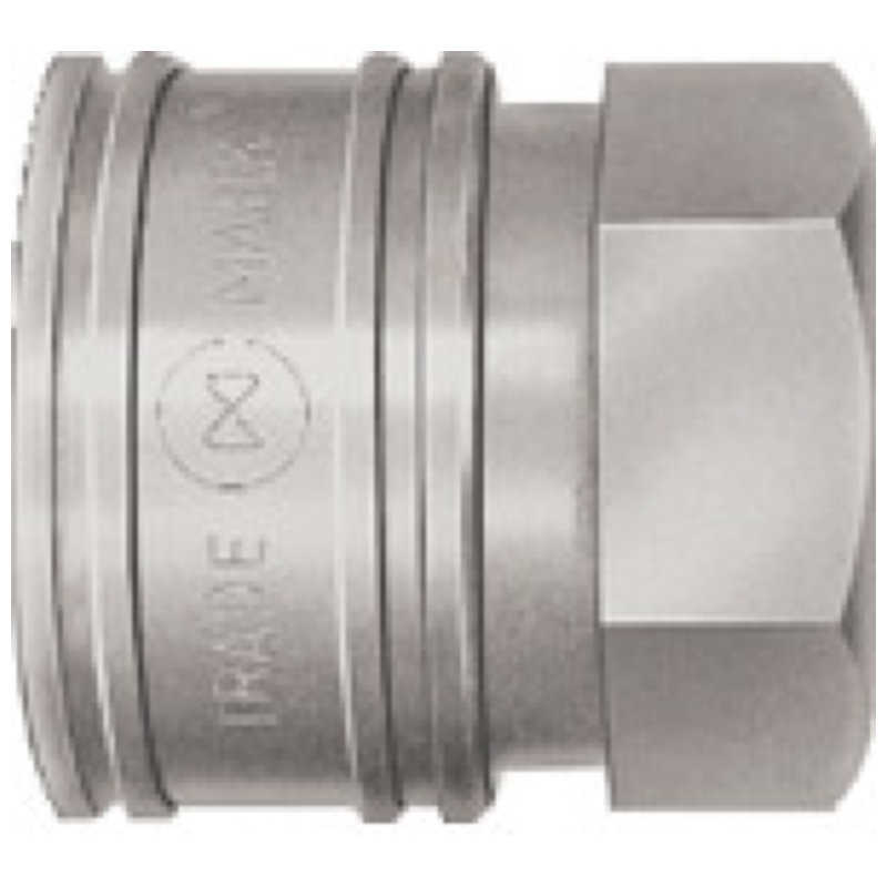 日東　ＴＳＰカプラ　ステンレス製　ふっ素ゴムＦＫＭ　Ｘ－１００（００７５８）