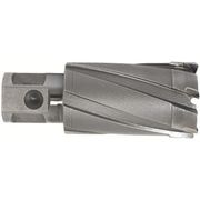 育良　ライトボーラー用替刃（超硬刃）（５１００８）